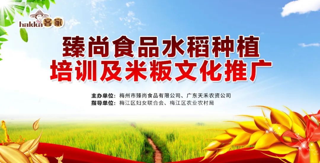臻尚 I 水稻種植培訓和米粄文化推廣圓滿落幕