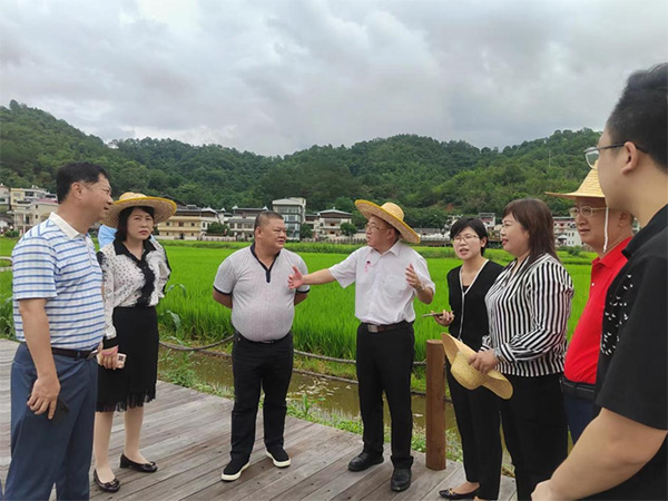 省農(nóng)業(yè)農(nóng)村廳調(diào)研組一行蒞臨臻尚基地調(diào)研